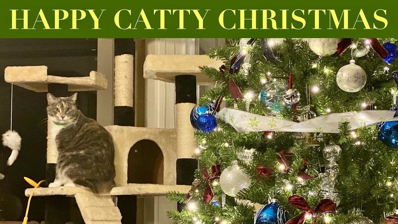 Happy Catty Christmas