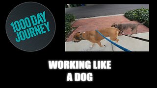 1000 Day Journey 0759 Working like a Dog