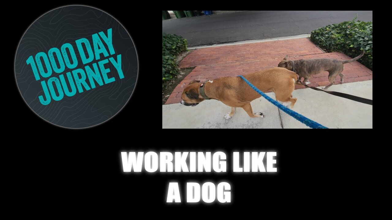 1000 Day Journey 0759 Working like a Dog