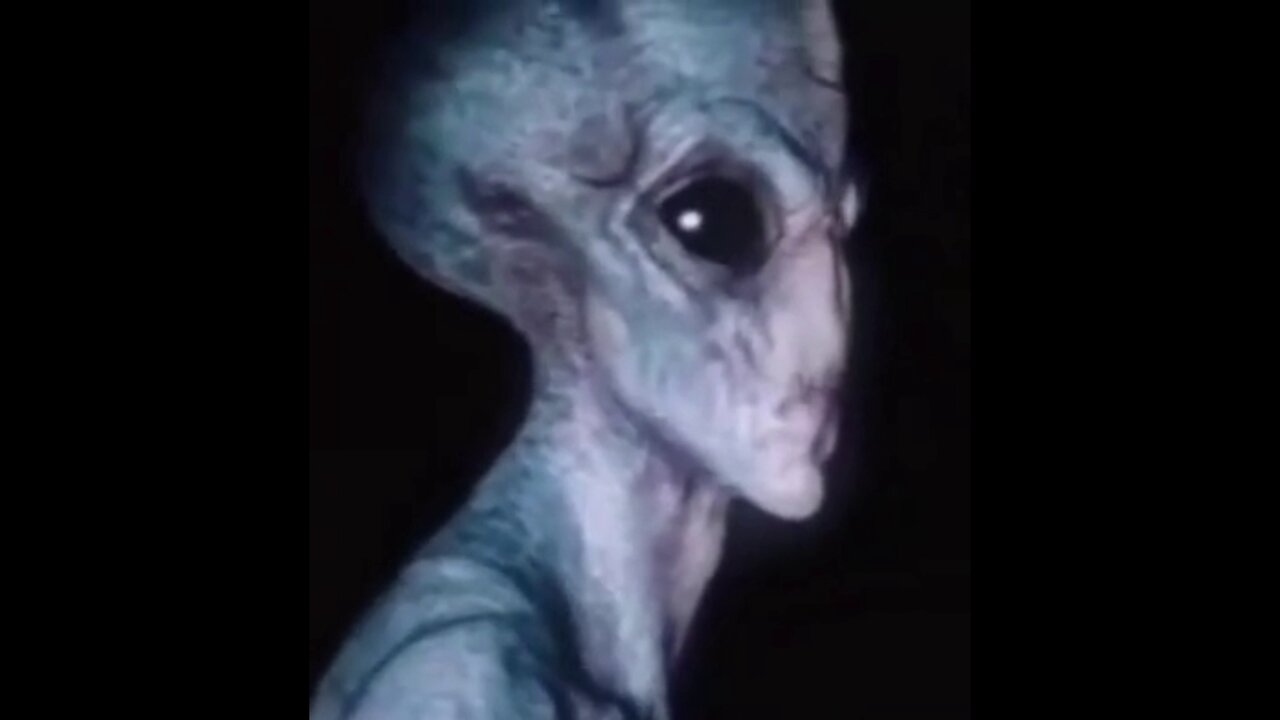 Shapeshifting Spirits - Compilation -