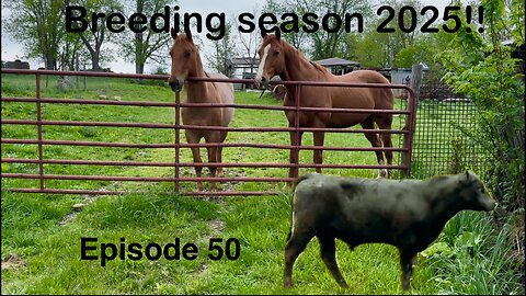 So starts breeding season for 2025!!