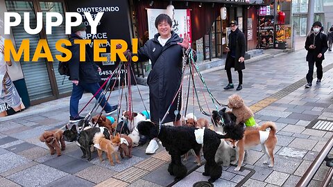 TOKYO PUPPY MASTER! 🇯🇵