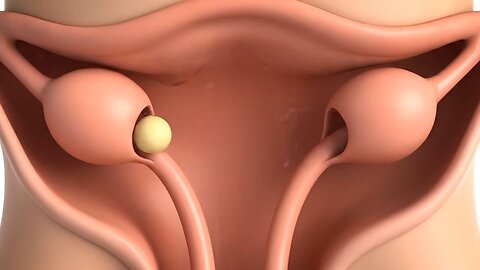 #shorts #rumble #trending #viral # Funny #2025