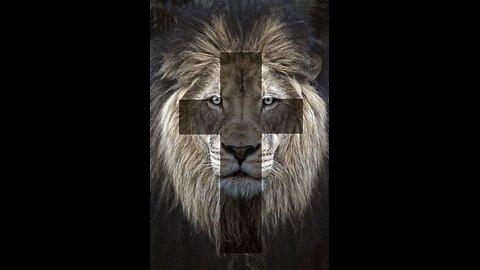 Dan Bergman’s Response to: "Paul's Conversion story is Fake". #biblicaltruth