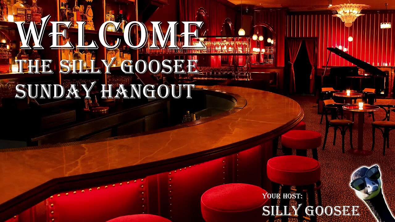 The Silly Goosee Sunday Hangout