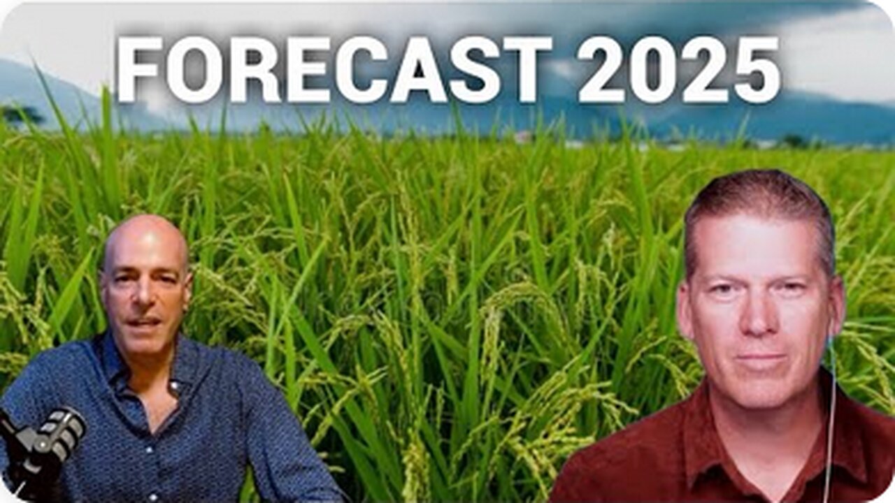 What the 2025 Rice Forecast Means for Our World