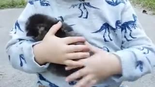 😂👶 Cats vs. Chaos! Adorable Kids & Kitties Fail | FunFM