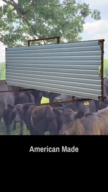 Freestanding Windbreak Panels