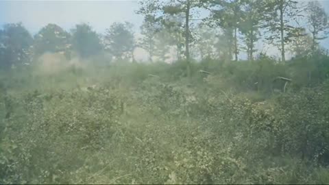 Camouflaged French Artillery Position Meuse-Argonn