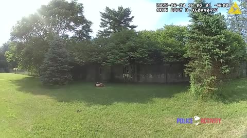Bodycam Video Shows Suspect Fire at Michigan Deputy Before Being Shot