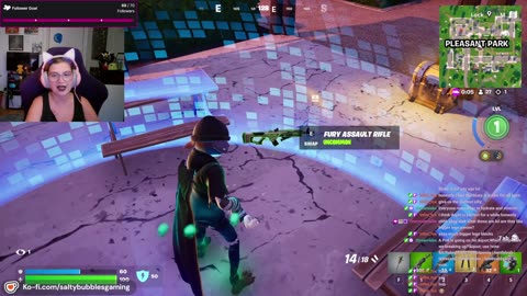 my dog is causing chaos with me in forntite again