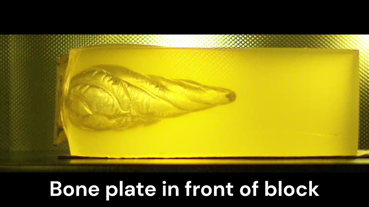 9mm Luger +P Cor-Bon DPX 115gr bare gelain and Bone plate