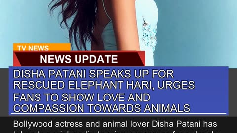 Disha Patani Speaks up for Rescued Elephant Hari