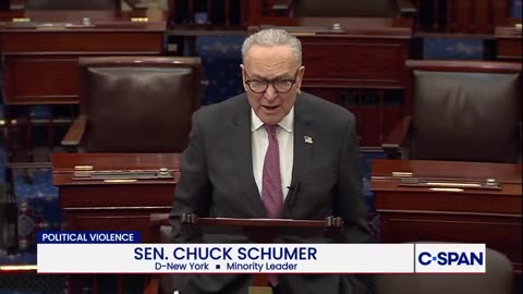 Senator Chuck Schumer gives speech about Trump reaction to Seditious Video that Democrats made