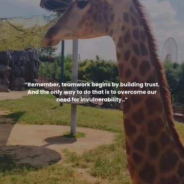 Remember, teamwork begins by building trust.