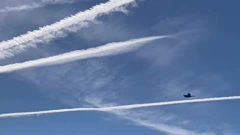 Rothschild BlackRock WEF Power...