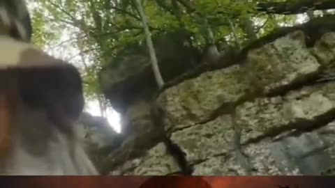 👽🌳 Small Creature Caught on Camera in the Jungle! | TheHauntingHour