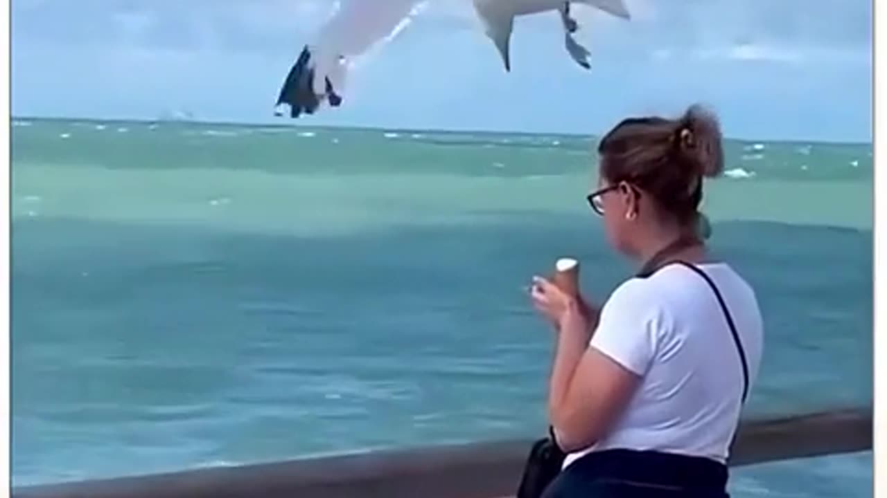 😂🐦 This Bird's Stealth Mode is HILARIOUS! Stealthy Bird | FunFM