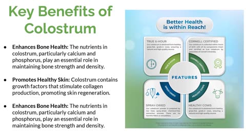 Pure Bovine Colostrum Powder for Immune & Wellness Support