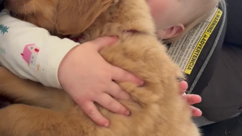 Squishy Hands Snuggle Golden Puppy