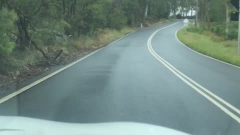 Rascal Driving Team 😎👍🏻🇦🇺