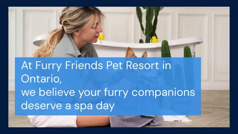 Pamper your pup at one of Ontario Top Pet Friendly Spa Resorts
