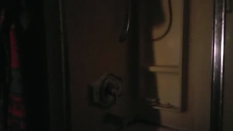 Anon mr 1984 Winston Feels So Shawkeddd 😂😂🐓