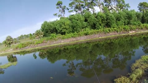 altra pescata in fiume innescando il vivo or river fishing with live bait, soddisfatto_part7
