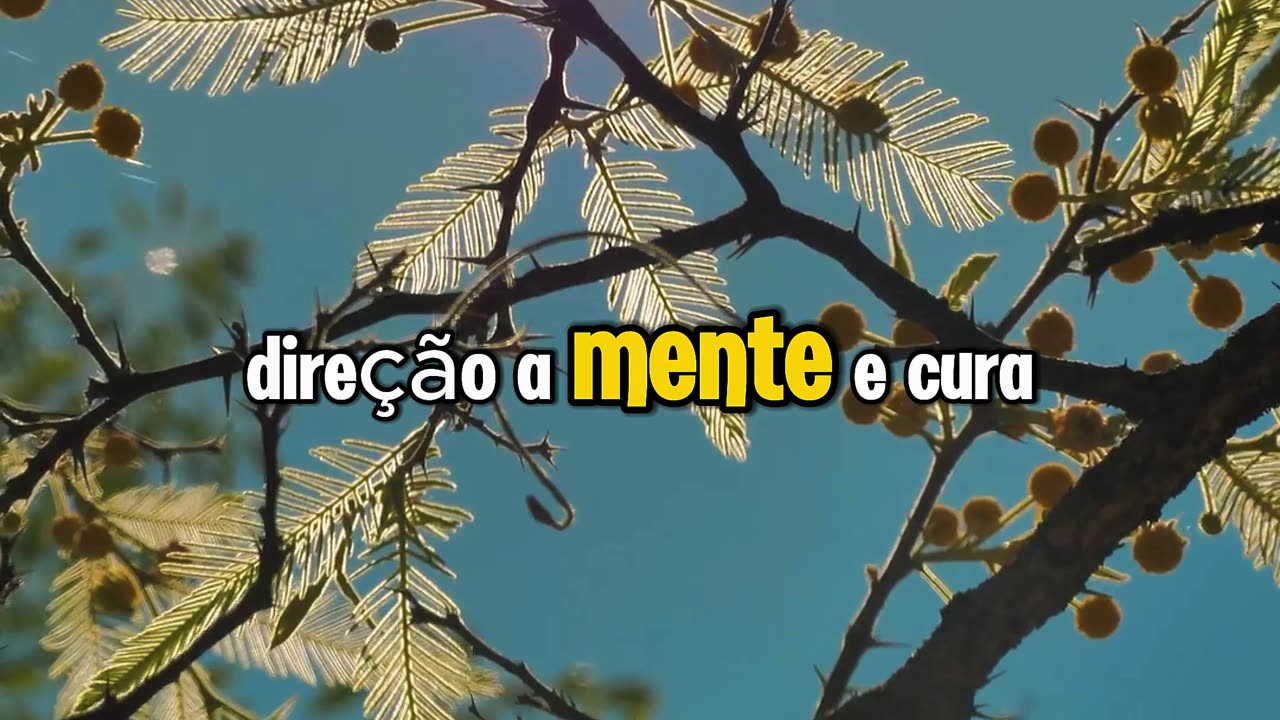 Você já parou hoje para abençoar alguém? ”VAMOS ORAR?"