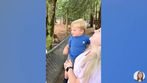 Children video in the zoo