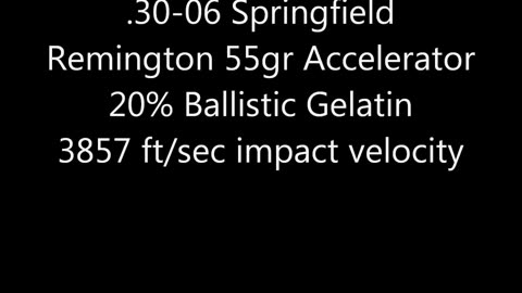 SLOW MOTION 30-06 Springfield Remington 55gr Accelerator impacting ballistic gelatin