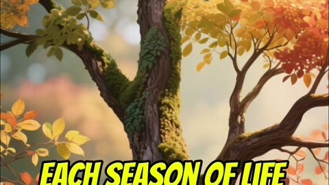 Why Most Men Feel Lost Between Life Seasons