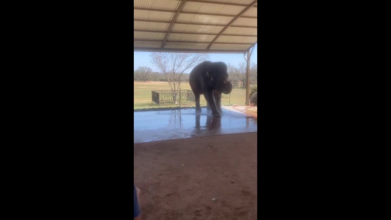 Adorable - Reload from Baggypants