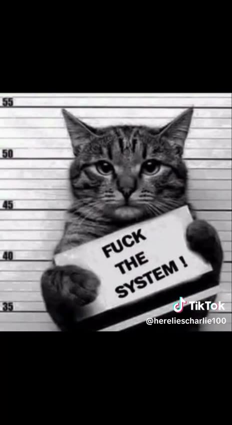 Meme Wars: Fcuk The System