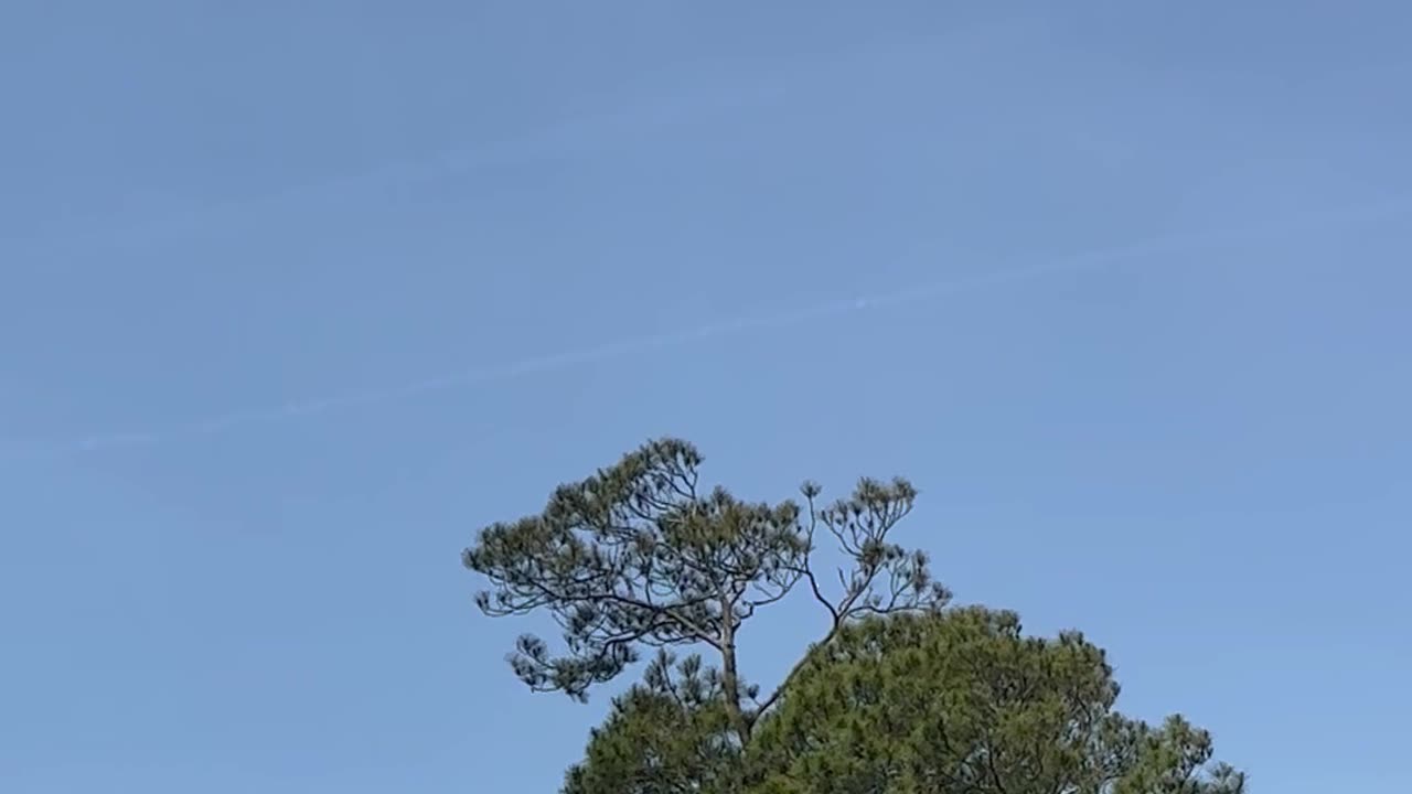 Darpa 5-26-2025 still at it