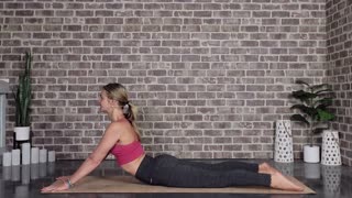 Stretchy Full Body Yoga for All Levels | Yoga with Stephanie