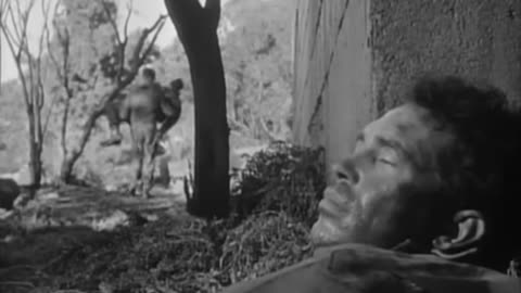 COMBAT! s.2 ep.17: The Pillbox (1964)