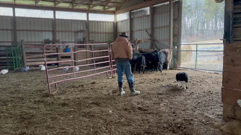 Scaly 11/27/2025 Birthday Run Two