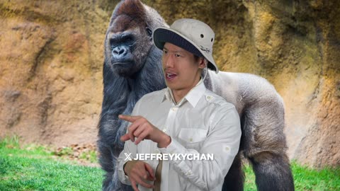 100 Men VS 1 Silverback Gorilla