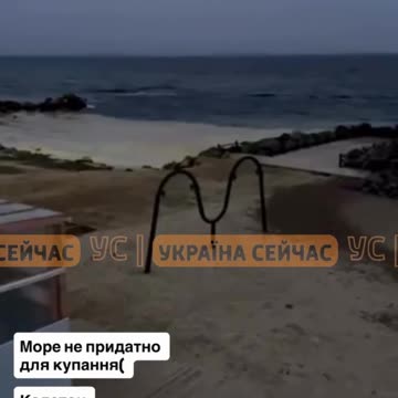 In Odesa, oil-like stains and dead birds were found in the sea