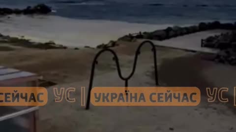 In Odesa, oil-like stains and dead birds were found in the sea