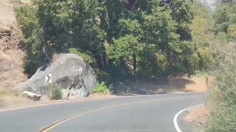 Shia, video recorded 11:50 AM August 10, '25 Part 1-1 by Alyssa Sequoia National Park