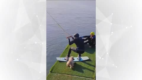 "Cats & Dogs Cracking Us Up!"