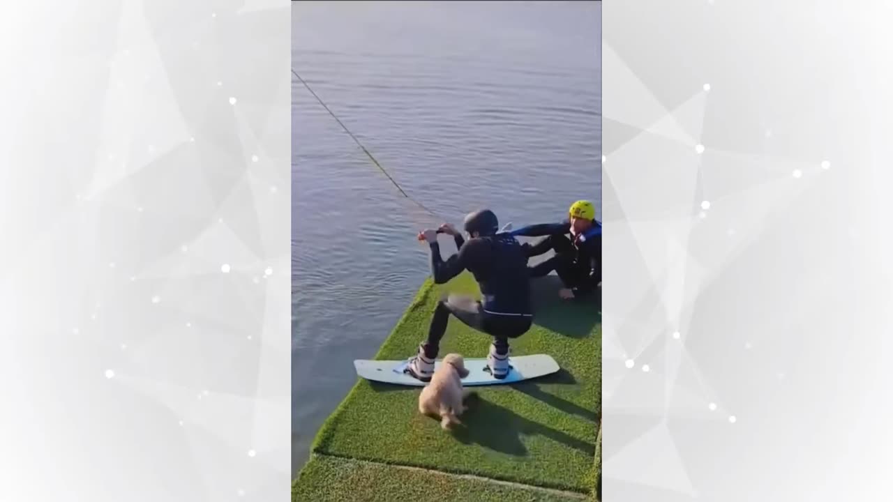 "Cats & Dogs Cracking Us Up!"