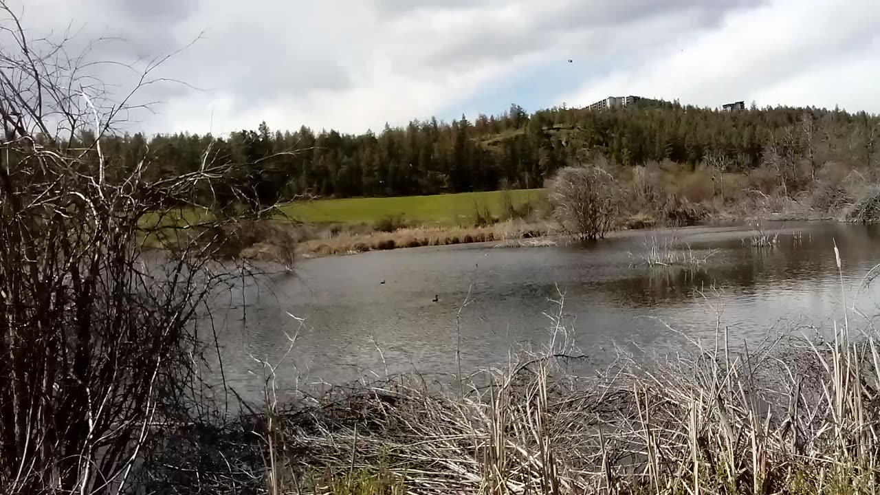 Exploring Carney Pond On Okanagan Rail Trail In Kelowna BC 🇨🇦