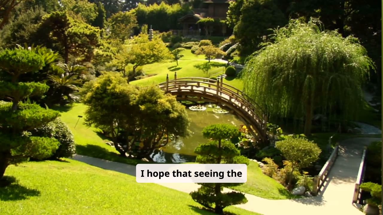 Finding Peace and Joy