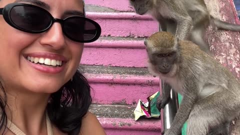 Monkey Grabs Woman's Earing