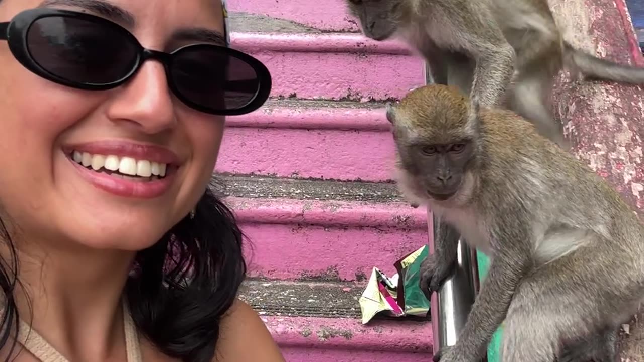 Monkey Grabs Woman's Earing