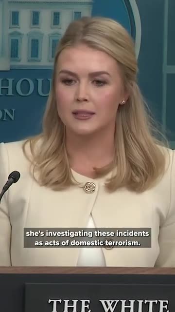 Karoline Leavitt criticizes Democrats and denounces attacks on Tesla owners.