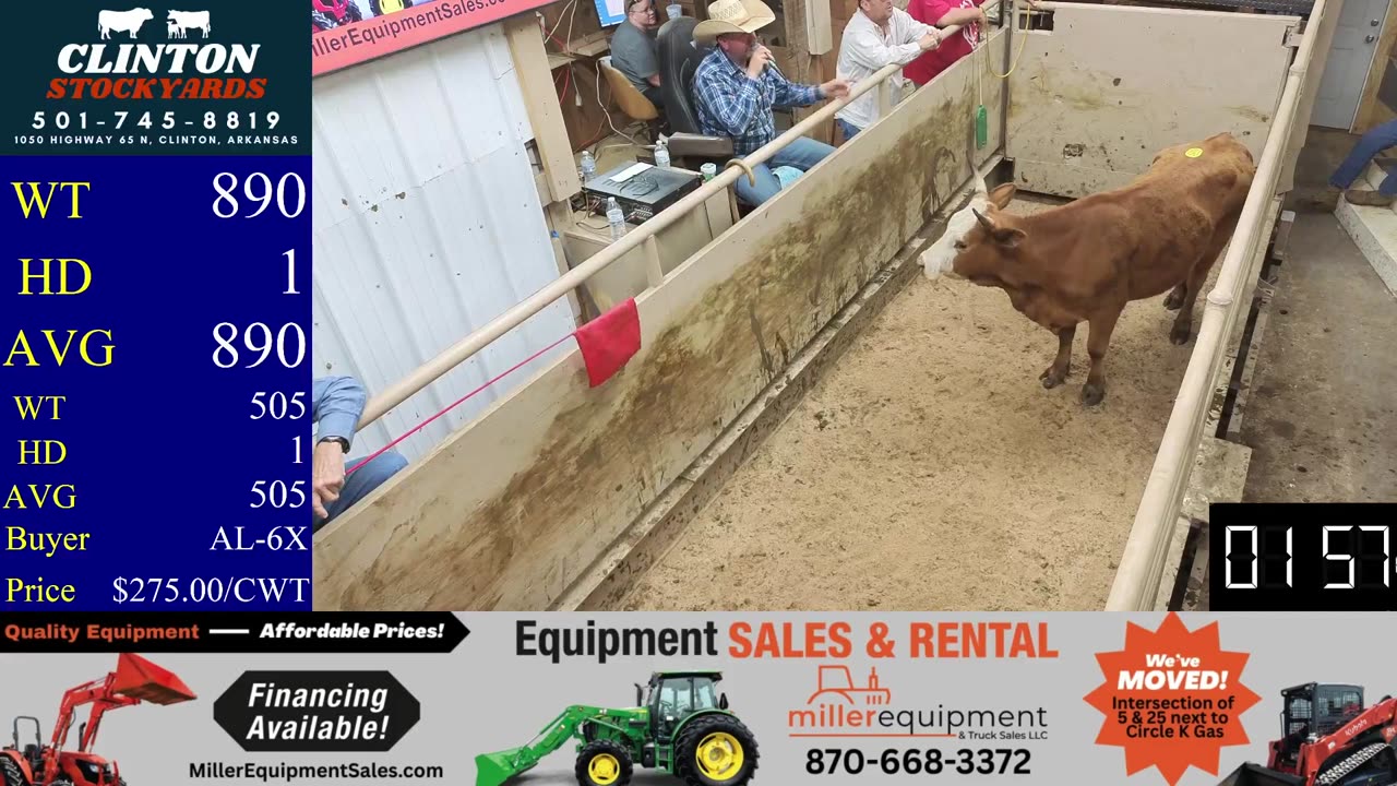 4/19/2025 - Cattle Auction - Clinton Stockyards